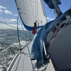 25-09-06 12-32-16 1870.jpg